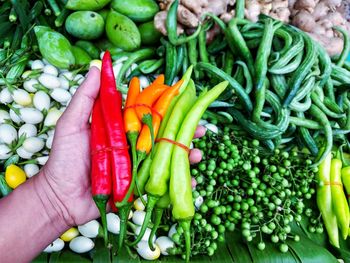Cropped image of hand holding chili peppers at market