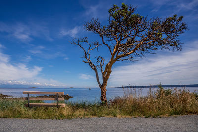 View of the ocean from pipers lagoon park, nanaimo