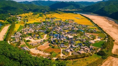 Scenic view of field and houses in village