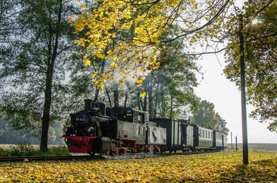 View of trees on field