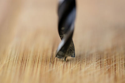 Close-up of black coffee on table