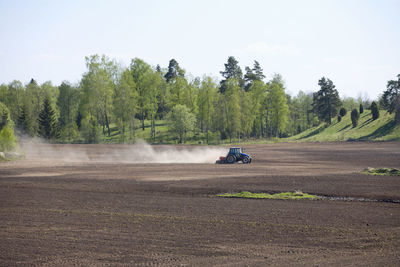 Tractor harrows on a field