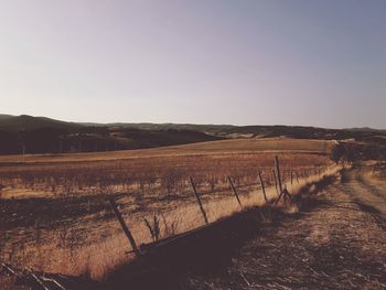 Scenic view of field against clear sky