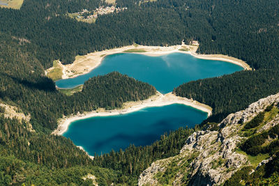 High angle view of trees and mountains in forest