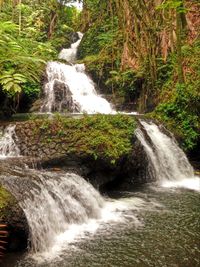 Stream flowing through rocks in forest