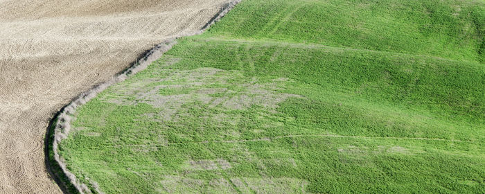 High angle view of agricultural field