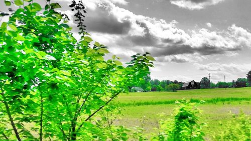 Scenic view of grassy field against cloudy sky