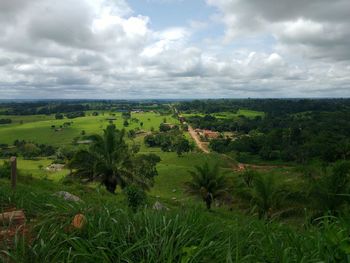 Scenic view of field against sky