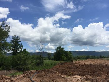Scenic view of field against sky