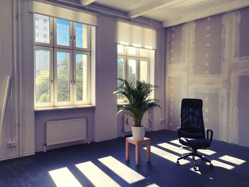 Potted plants on window sill