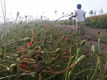 Woman holding flowers on field against sky