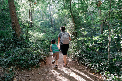 Rear view of man walking in forest