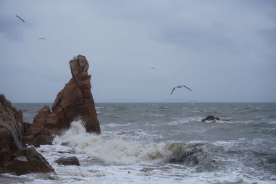 Scenic view of sea against sky