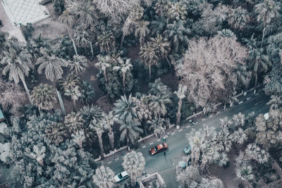 High angle view of cars on road during winter