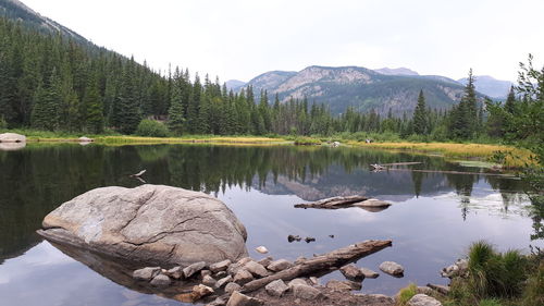 Scenic view of lake by trees against sky