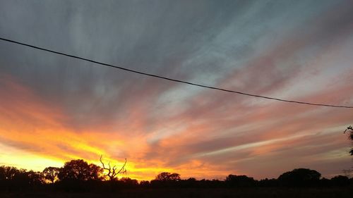 Silhouette of trees against dramatic sky