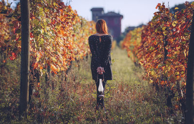 Rear view of man standing on leaves during autumn