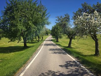 Road amidst trees against sky