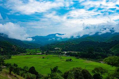 Scenic view of agricultural field against sky