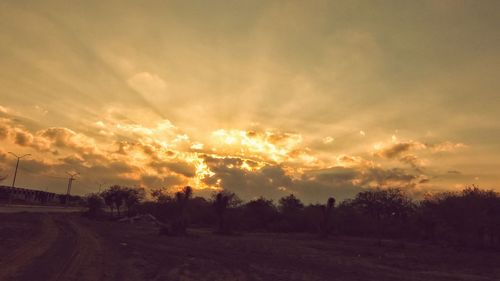 Silhouette trees against sky during sunset