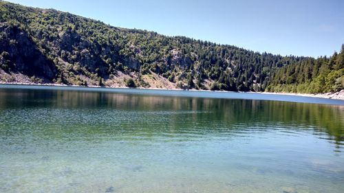 Scenic view of lake in forest against sky