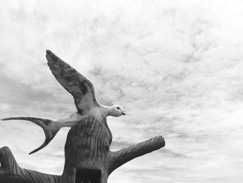 Low angle view of seagulls against sky