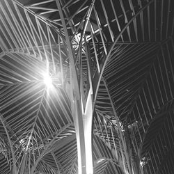 Low angle view of illuminated ceiling