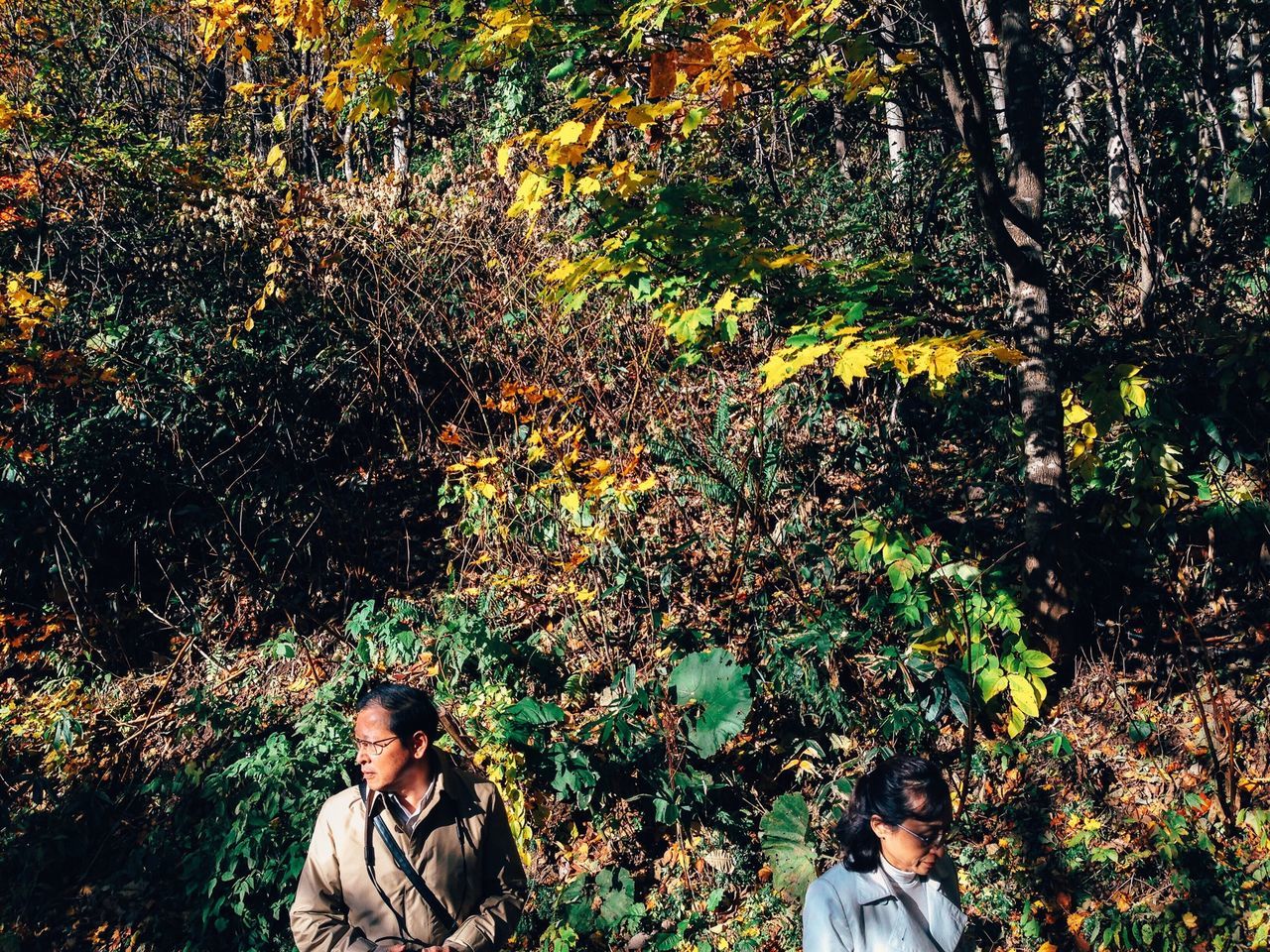 lifestyles, leisure activity, growth, standing, plant, field, nature, tree, leaf, grass, beauty in nature, men, tranquility, autumn, outdoors, high angle view, green color, personal perspective