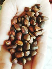 Full frame shot of coffee beans