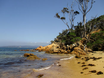 Scenic view of sea against clear sky