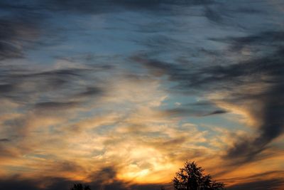 Low angle view of silhouette trees against dramatic sky