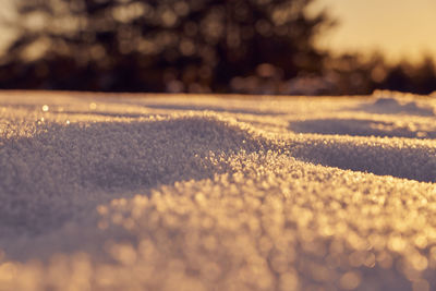 Surface level of road on sunny day