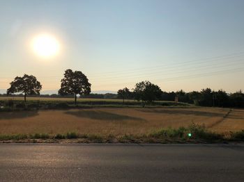 Scenic view of field against clear sky during sunset