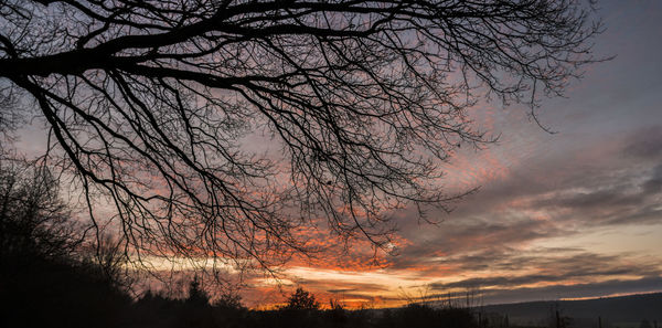 Low angle view of silhouette bare tree against dramatic sky