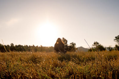 Scenic view of field against clear sky at sunset