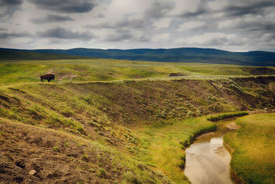 Scenic view of landscape against sky