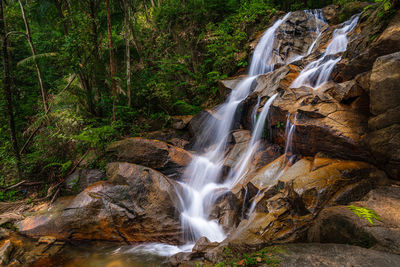 Scenic view of waterfall in forest