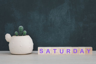 Close-up of potted plant on table against wall