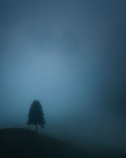 Silhouette trees on field against sky