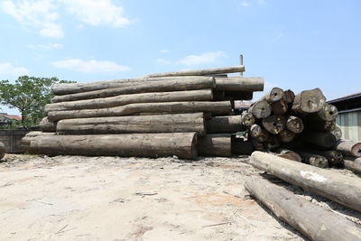 Stack of logs against trees