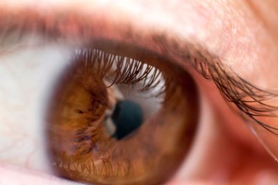 Extreme close up of human eye