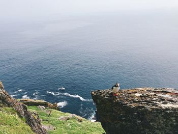 High angle view of seagull perching on rock by sea