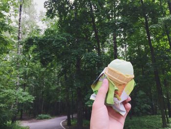 Woman holding ice cream cone against trees