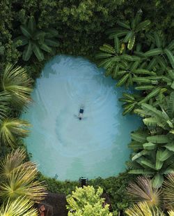 High angle view of man swimming in lake