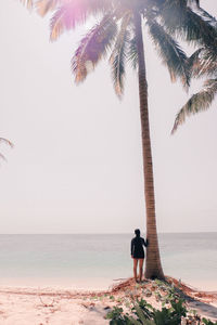 Rear view of woman standing by palm tree at beach against clear sky