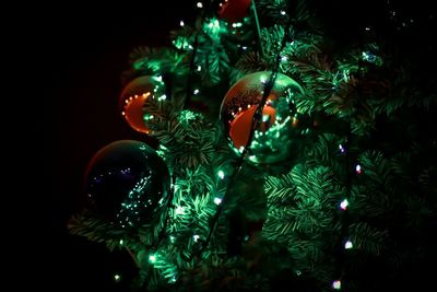 Close-up of illuminated christmas tree at night