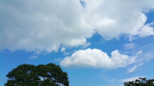 Low angle view of trees against sky