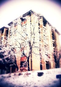 Houses in winter