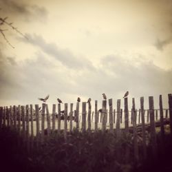 Fence on field against cloudy sky