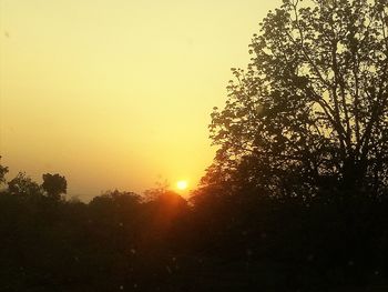 Silhouette trees against sky during sunset